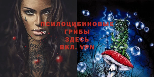прущая мука Абаза