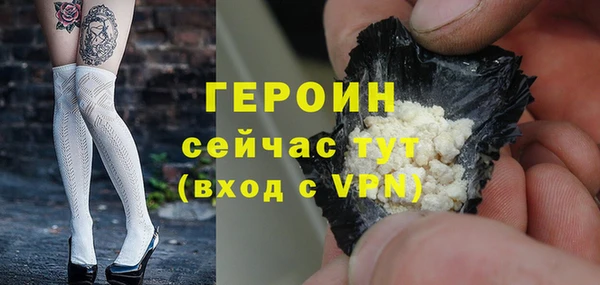 прущие грибы Великий Новгород