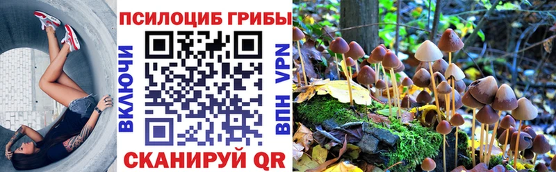 купить Юрюзань Псилоцибиновые грибы прущие грибы
